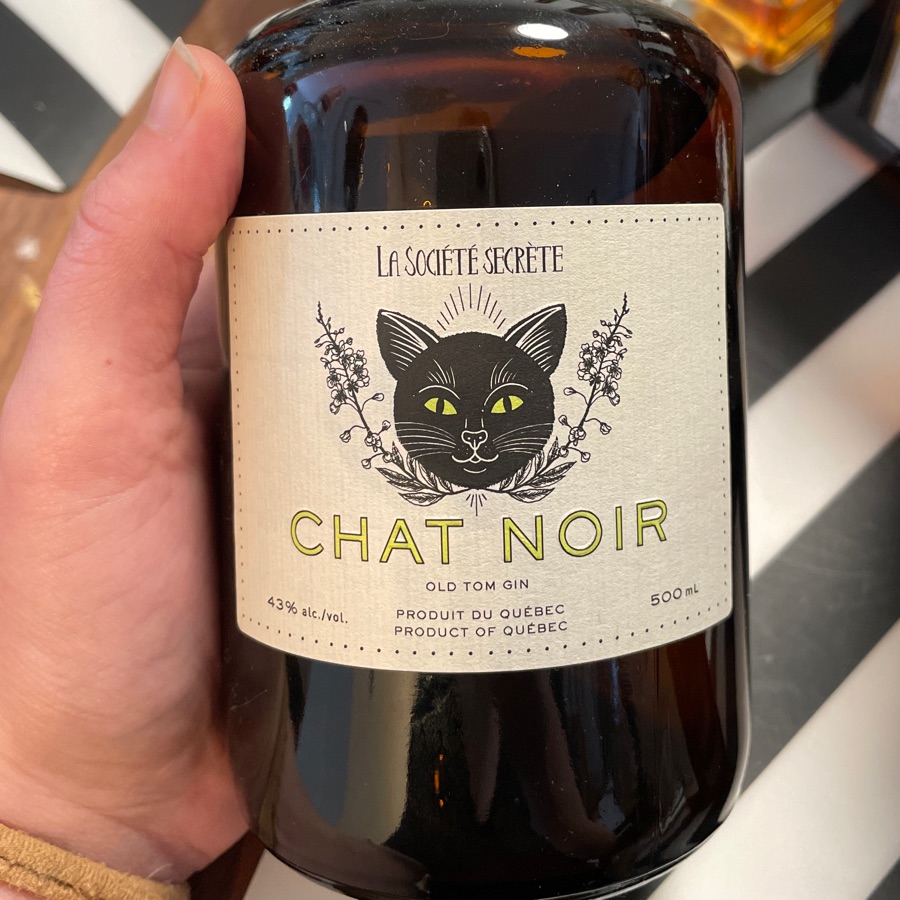 la societe secret - chat noir